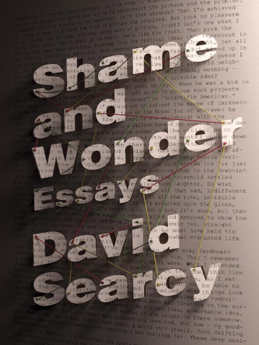 Title details for Shame and Wonder by David Searcy - Wait list